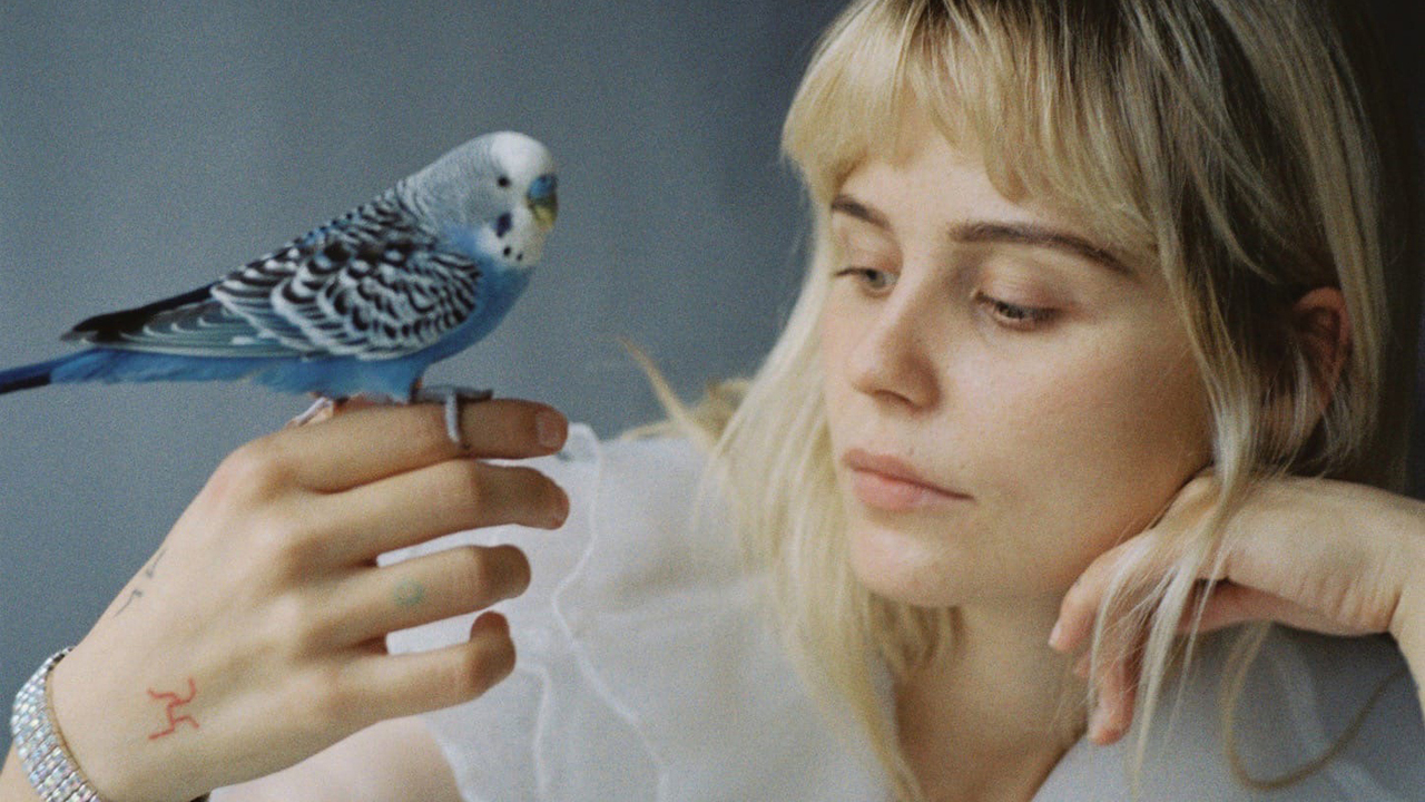 Сайд-проект Kedr Livansky, инди-группа Kosaya Gora выпустила трек Te ...