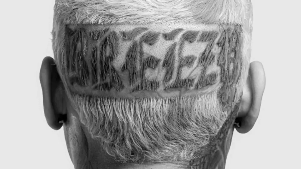 Обложка альбома Chris Brown «Breezy»