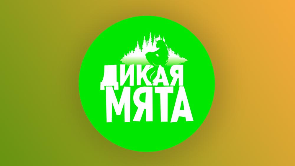 Леонид Агутин, Lumen, «Слот» и другие выступят на фестивале «Дикая Мята»