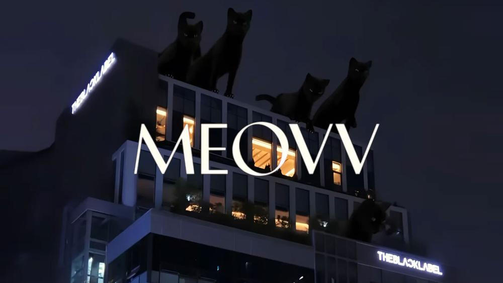 Южнокорейский лейбл The Black Label анонсировал новый герлз-бэнд MEOVV