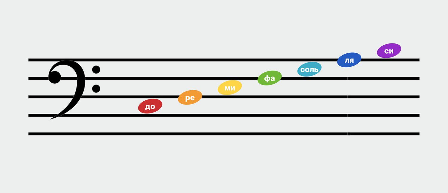 Как быстро выучить ноты и начать их различать: полезный гайд для начинающих  музыкантов - Звук