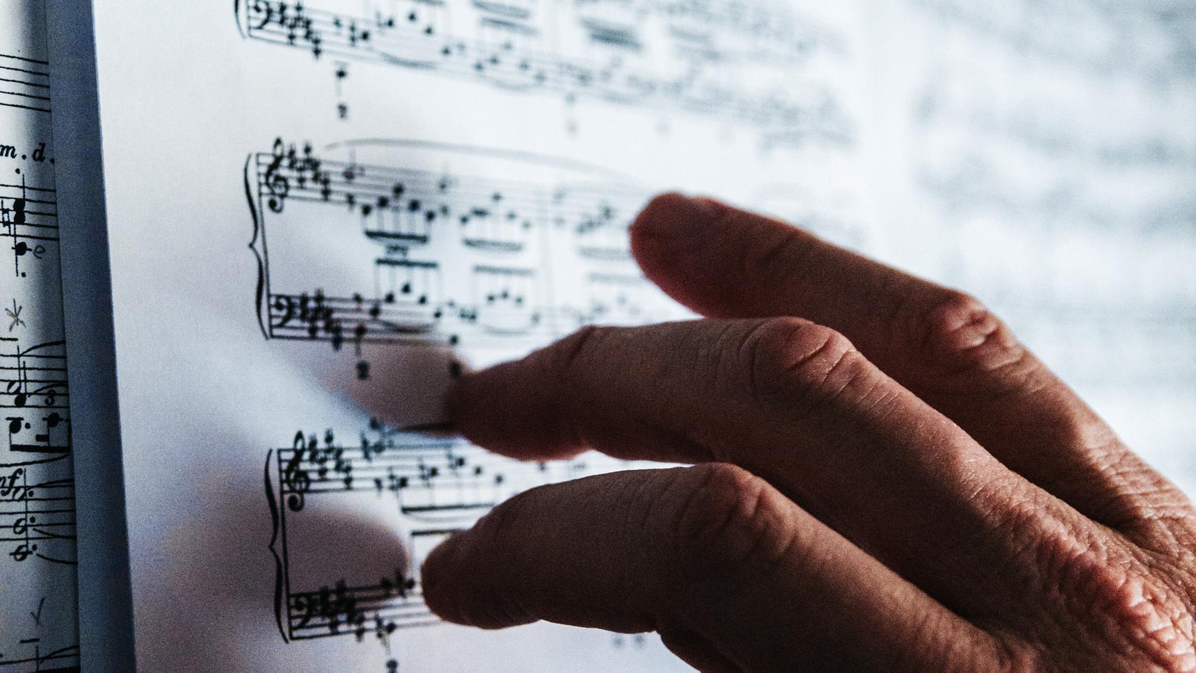 теория музыки. музыкальная теория. гармония в музыке. музыкальные теоретики. основы теории музыки.