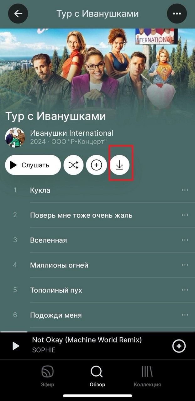 Как слушать музыку офлайн в приложении Звук