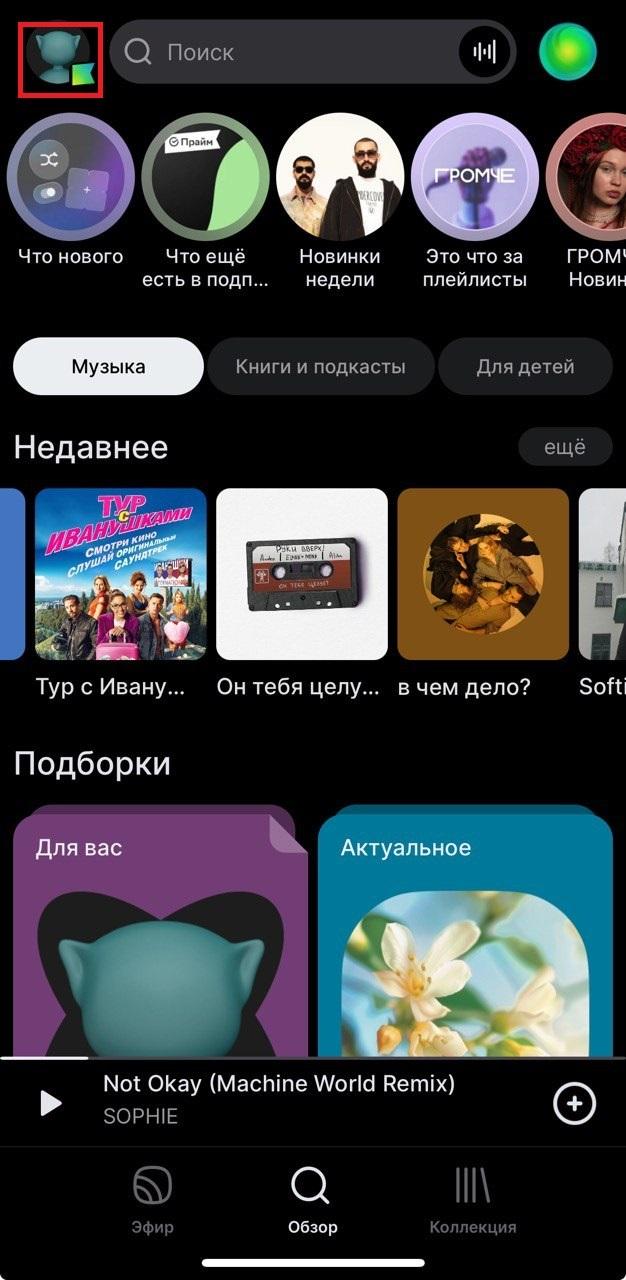 Как слушать музыку офлайн в приложении Звук